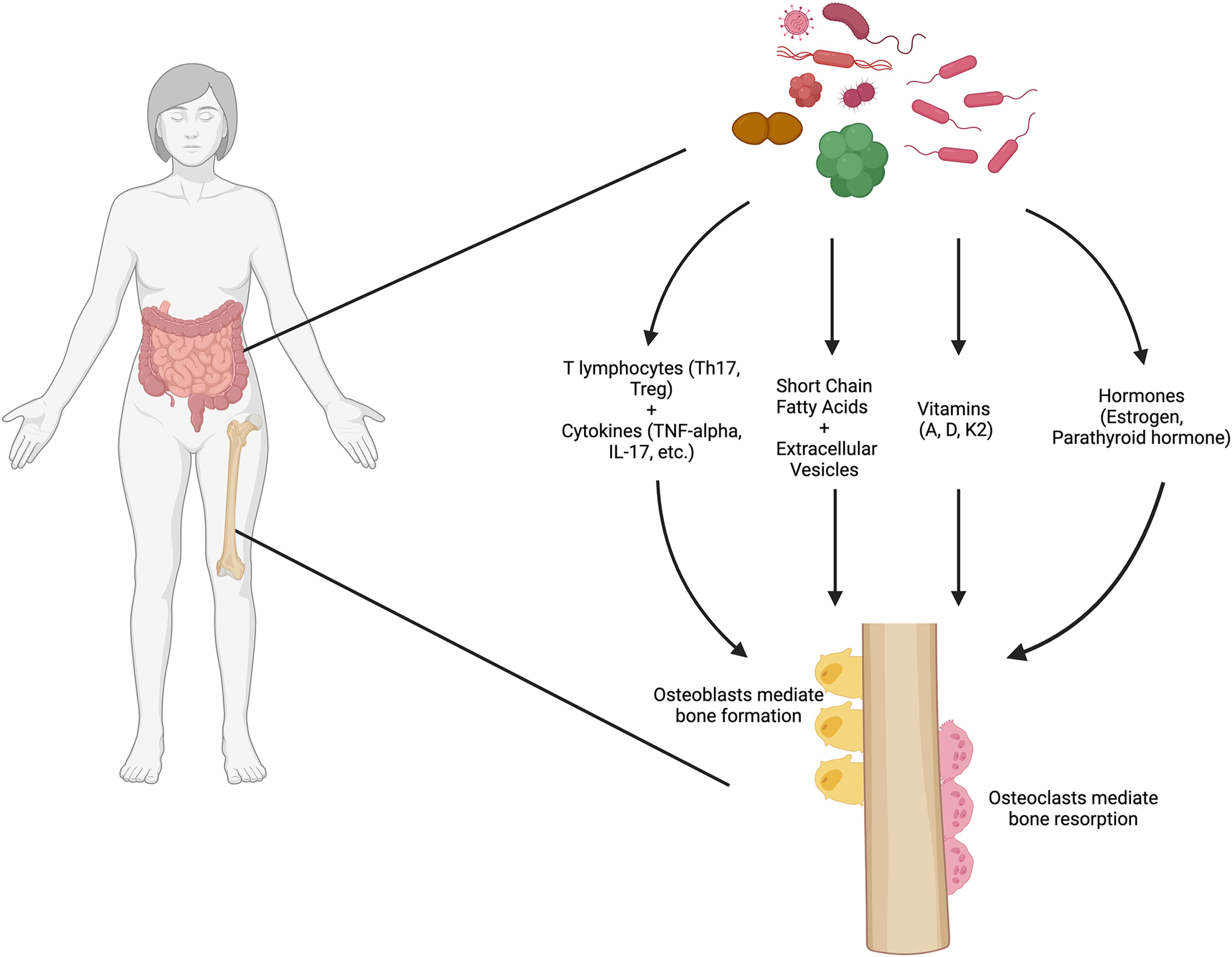 JBJS: The Microbial Revolution in the World of Joint JBJS: The Microbial Revolution in the World of Joint